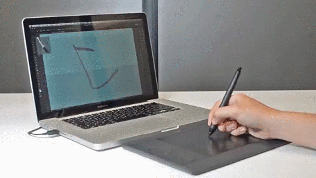 video.gif?1578442522