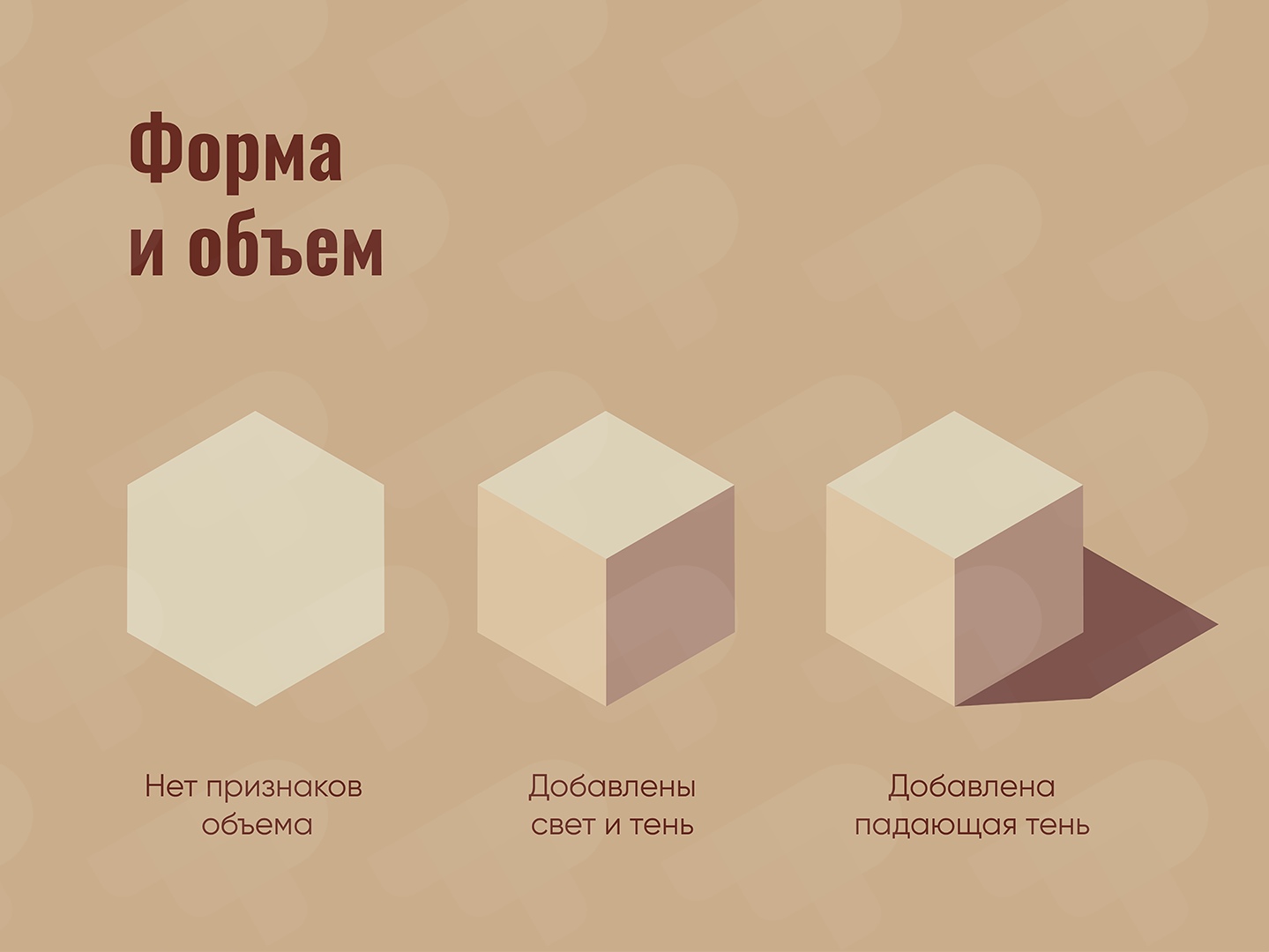 1.jpg?1578457930